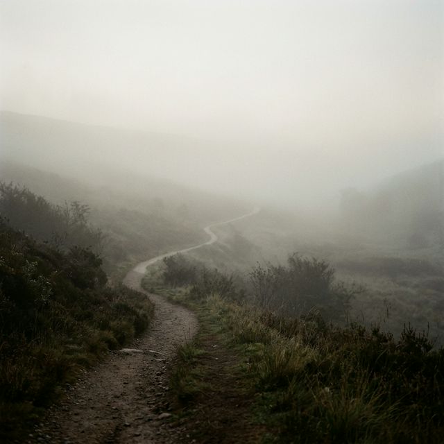 path through morning fog